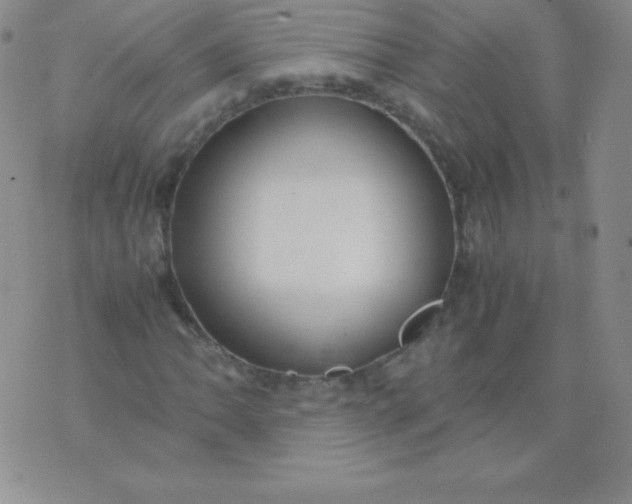 X0000071971062200607282052