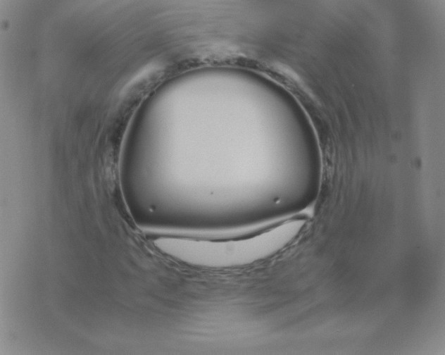 X0000071971063200607282052