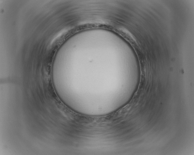 X0000071971064200607282052