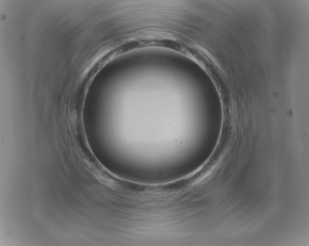 X0000071971065200607282052