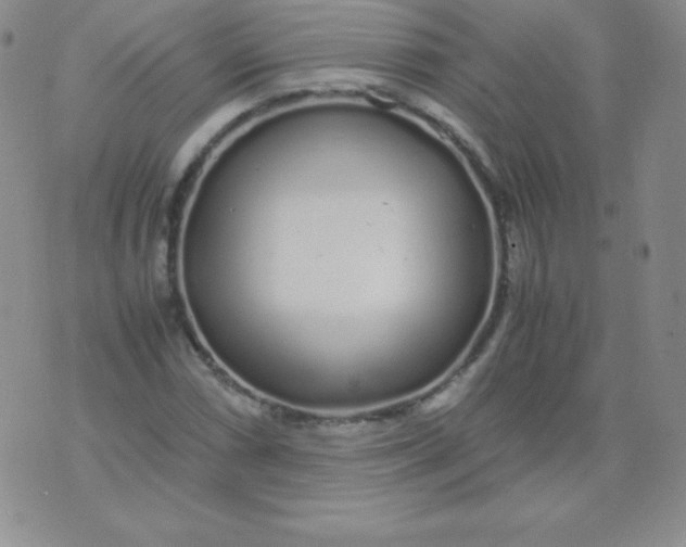 X0000071971066200607282052