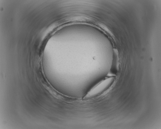 X0000071971067200607282052