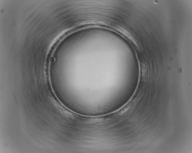 X0000071971068200607282052