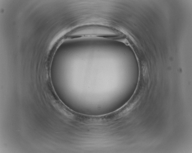 X0000071971069200607282052