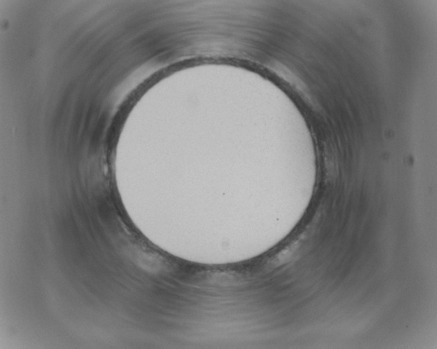 X0000071971070200607282052