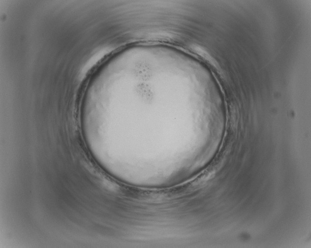 X0000071971071200607282052