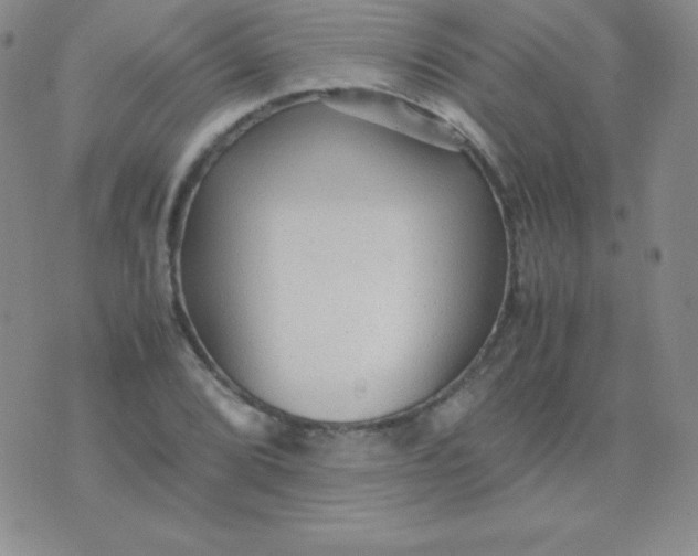 X0000071971072200607282052