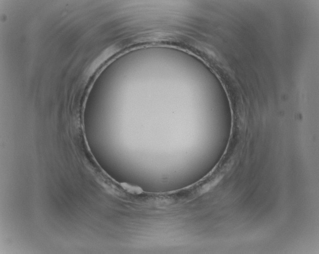 X0000071971073200607282052