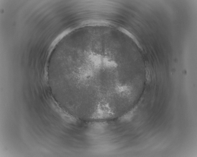 X0000071971074200607282052