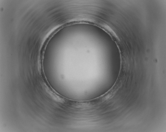 X0000071971076200607282052