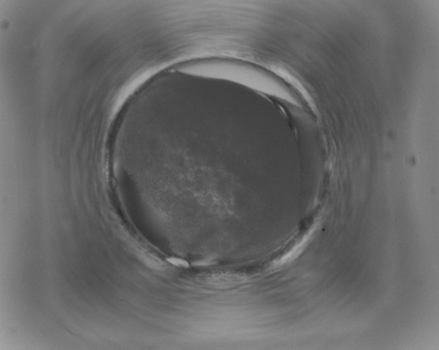 X0000071971077200607282052