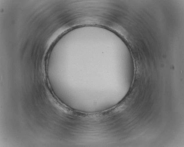 X0000071971078200607282052