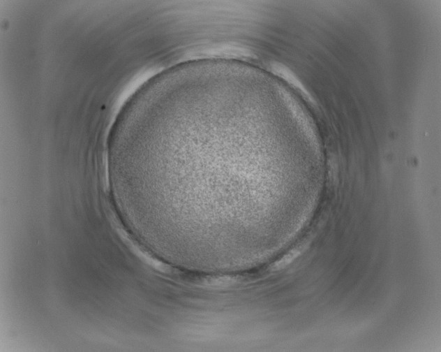 X0000071971079200607282052