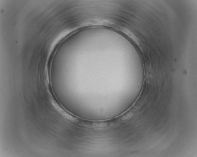 X0000071971080200607282052