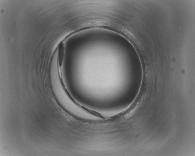 X0000071971081200607282052