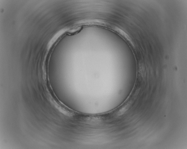 X0000071971082200607282052