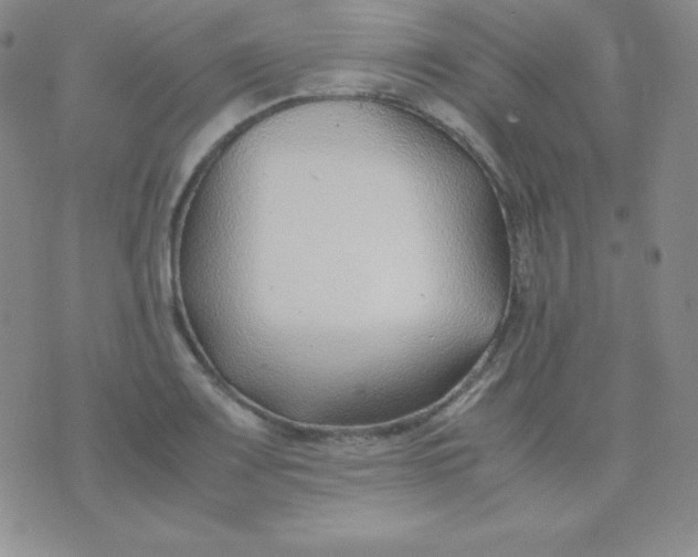 X0000071971083200607282052