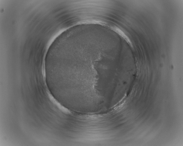 X0000071971084200607282052