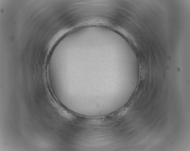 X0000071971086200607282052