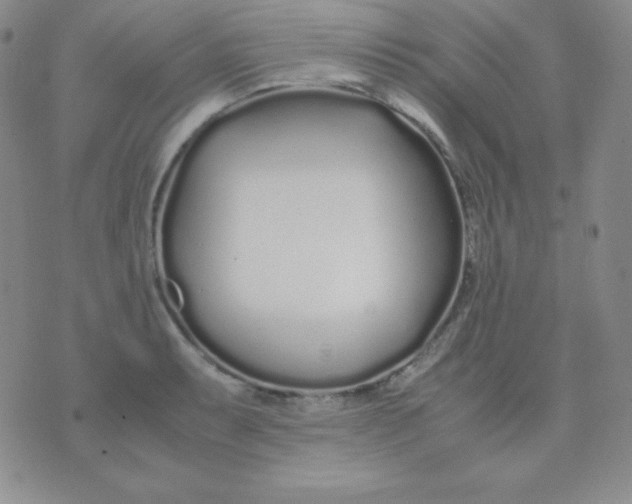 X0000071971087200607282052