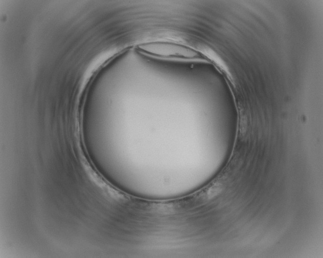 X0000071971088200607282052