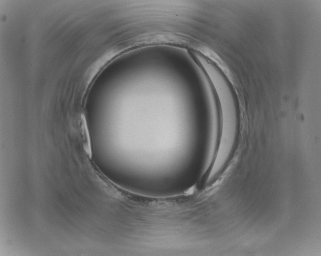 X0000071971089200607282052