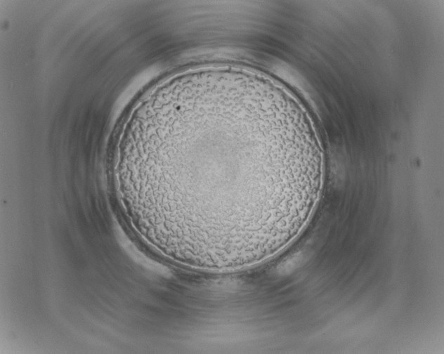 X0000071971090200607282052