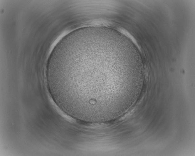 X0000071971091200607282052