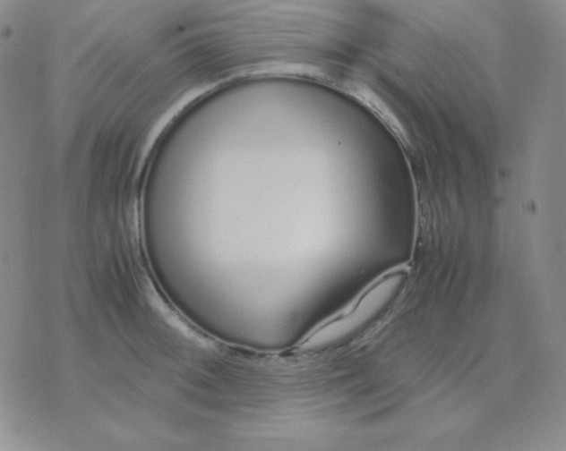 X0000071971092200607282052