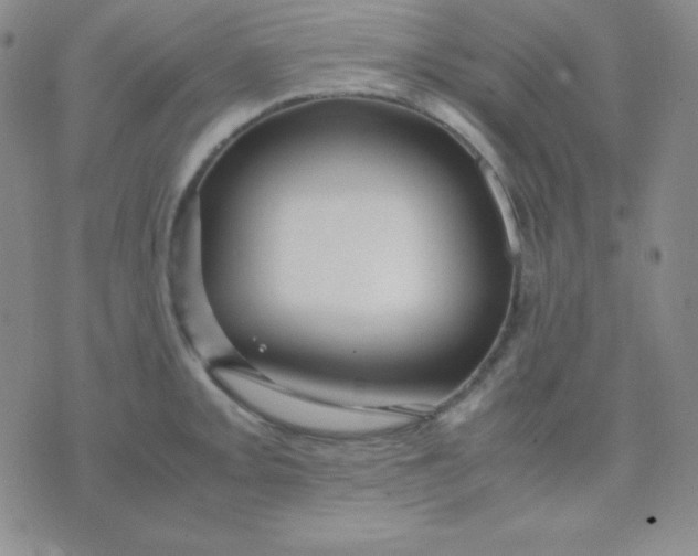 X0000071971093200607282052