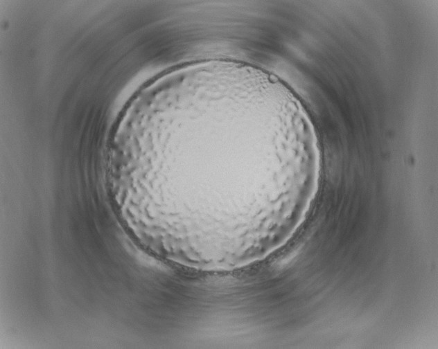 X0000071971094200607282052