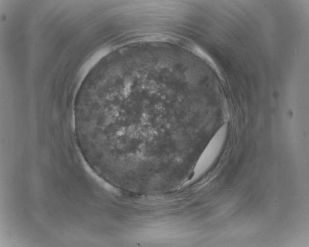 X0000071971095200607282052