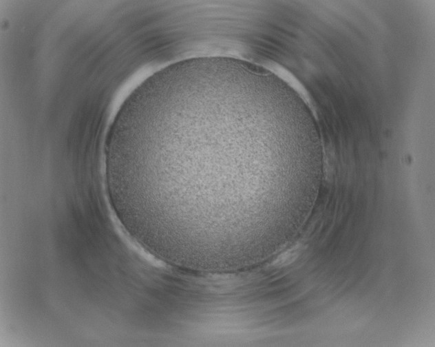 X0000071971096200607282052