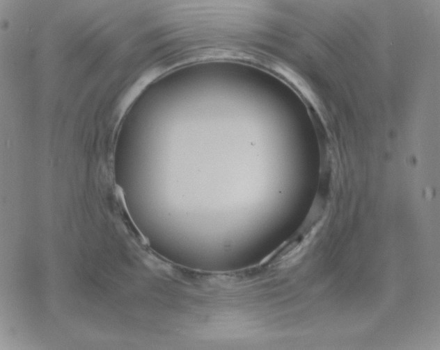 X0000071971097200607282052