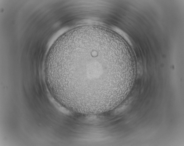 X0000071971098200607282052