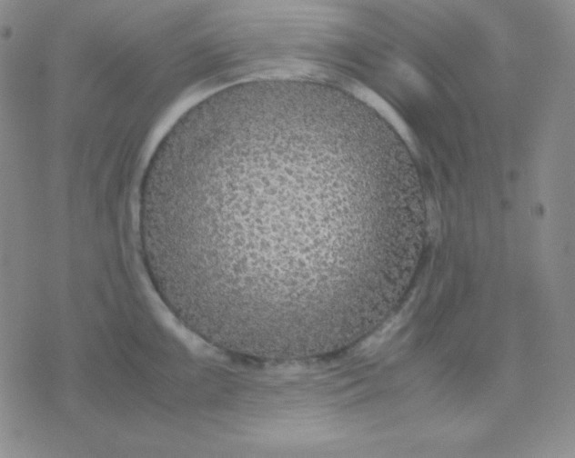 X0000071971099200607282052