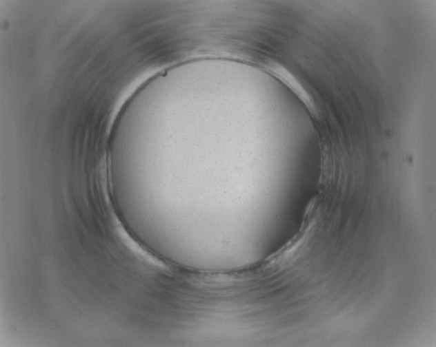 X0000071971100200607282052