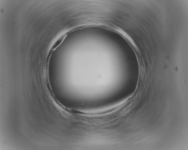 X0000071971101200607282052