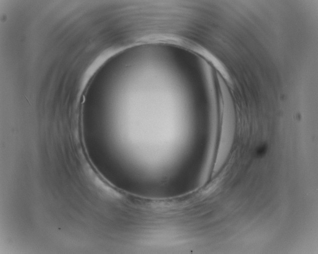 X0000071971102200607282052