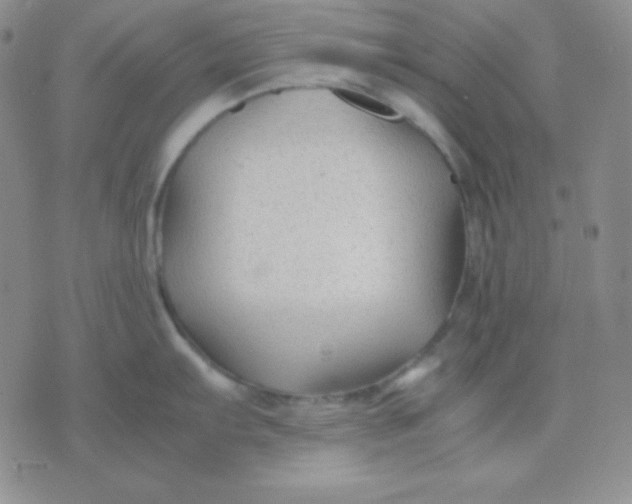 X0000071971103200607282052