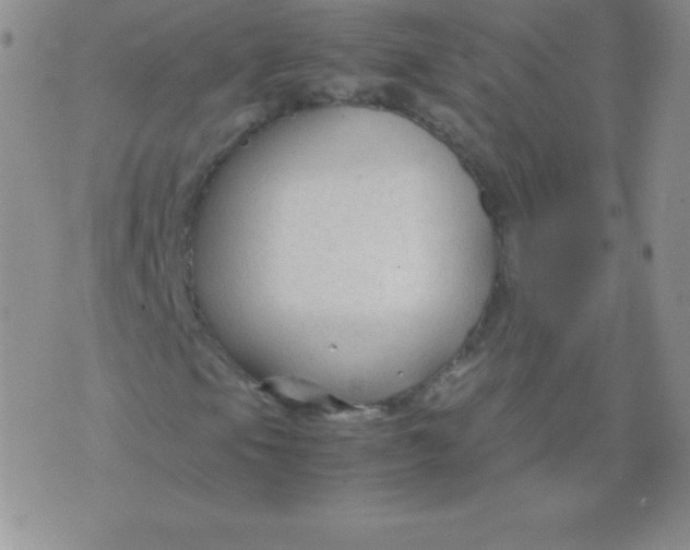 X0000071971105200607282051