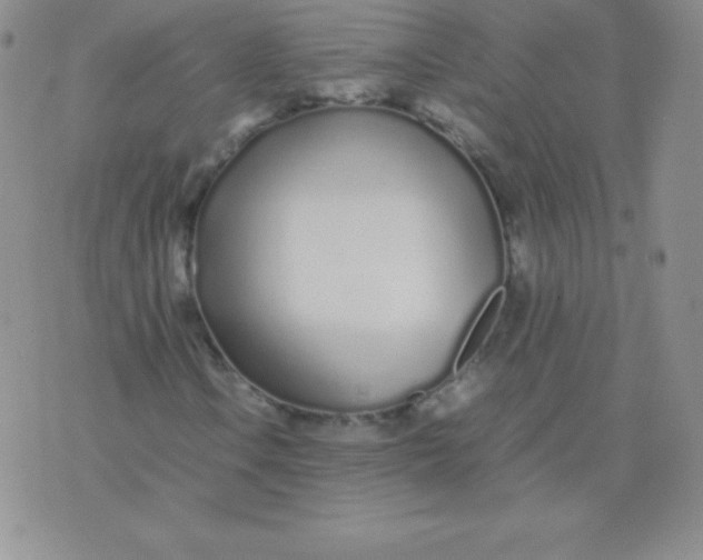 X0000071971106200607282051