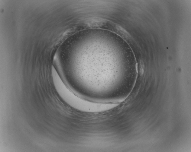 X0000071971108200607282051