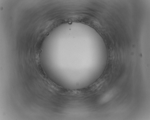 X0000071971109200607282051