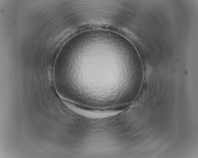 X0000071971110200607282051