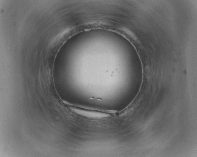 X0000071971111200607282051