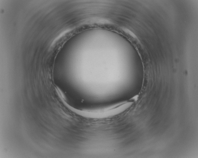 X0000071971112200607282051