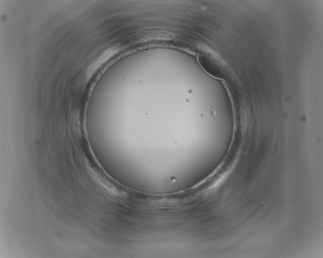 X0000071971113200607282051