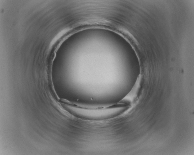 X0000071971114200607282051