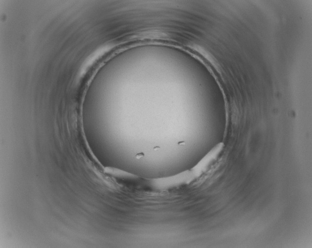 X0000071971115200607282051